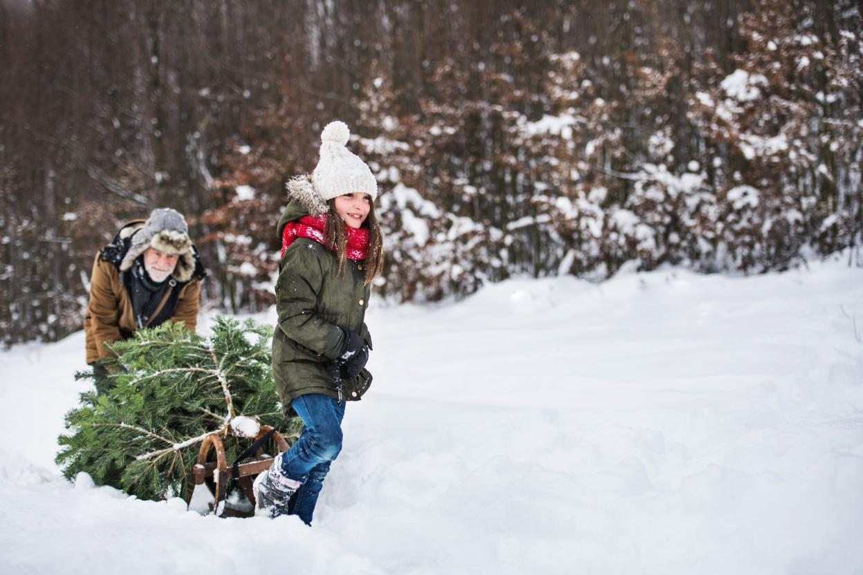 Tiefverschneite Landschaft, ein Erwachsener und ein Kind tragen einen Weihnachtsbaum aus dem Wald