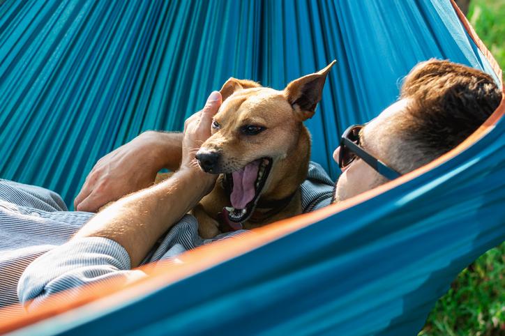 iStock_GettyImagesPlus Mann mit Hund auf der Couch, Hund hat offenes Maul