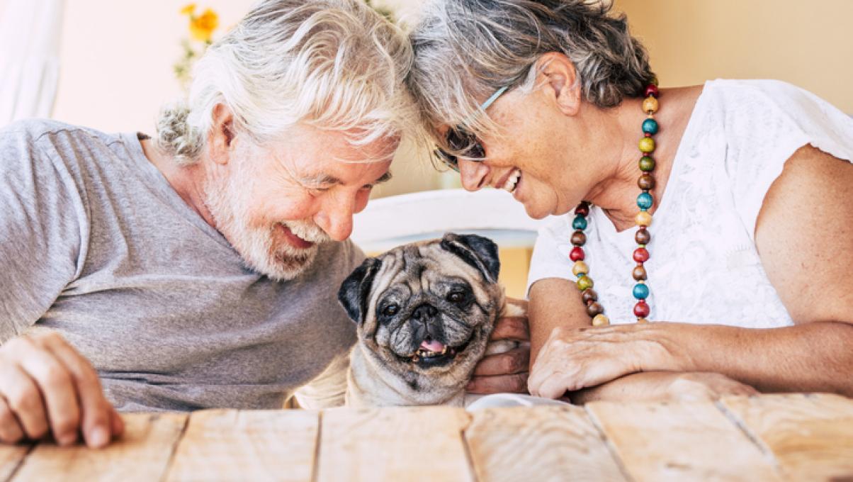 Älteres Ehepaar mit Hund auf der Couch